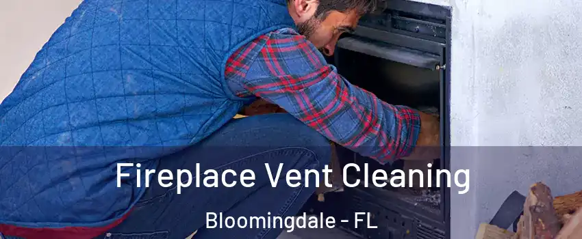  Fireplace Vent Cleaning Bloomingdale - FL