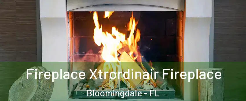  Fireplace Xtrordinair Fireplace Bloomingdale - FL