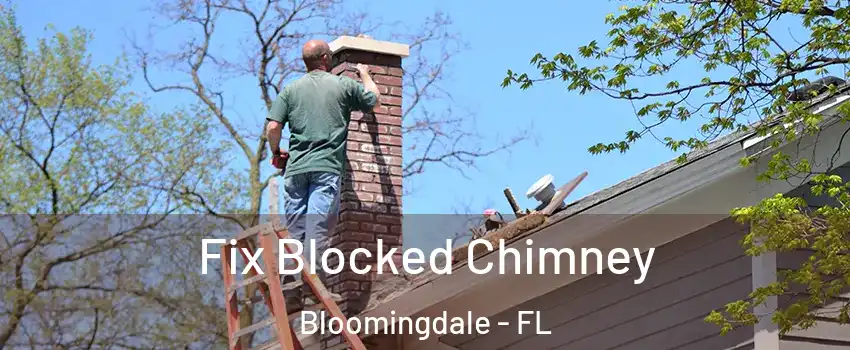  Fix Blocked Chimney Bloomingdale - FL