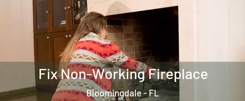  Fix Non-Working Fireplace Bloomingdale - FL
