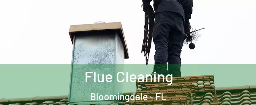  Flue Cleaning Bloomingdale - FL