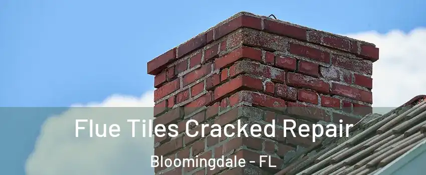  Flue Tiles Cracked Repair Bloomingdale - FL