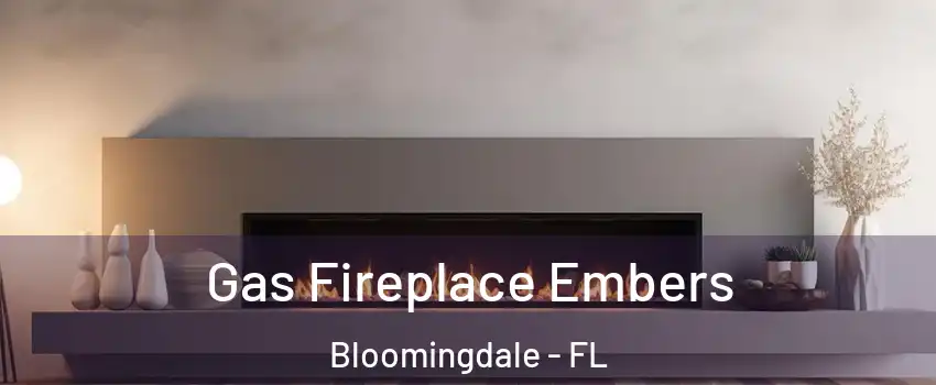  Gas Fireplace Embers Bloomingdale - FL