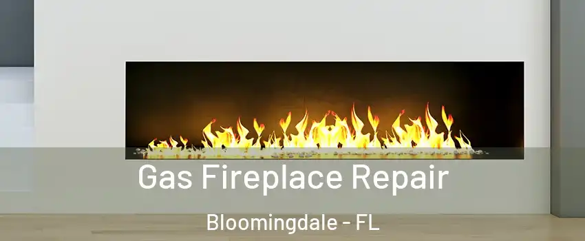  Gas Fireplace Repair Bloomingdale - FL