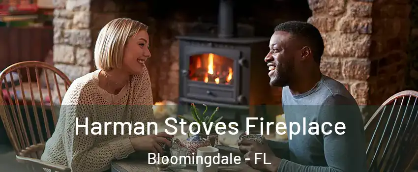  Harman Stoves Fireplace Bloomingdale - FL