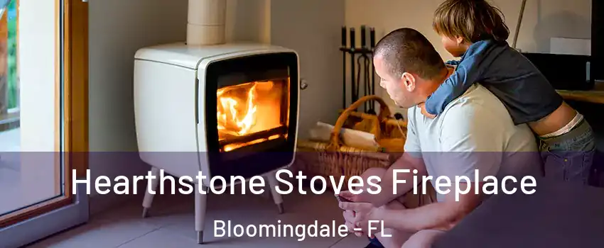  Hearthstone Stoves Fireplace Bloomingdale - FL