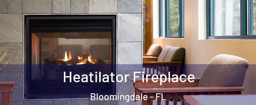  Heatilator Fireplace Bloomingdale - FL