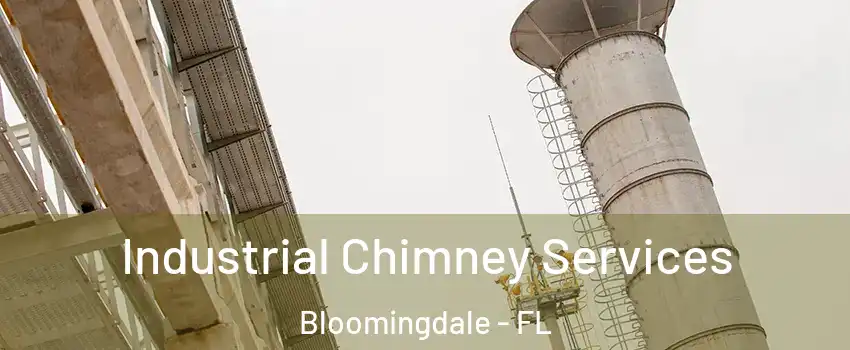  Industrial Chimney Services Bloomingdale - FL