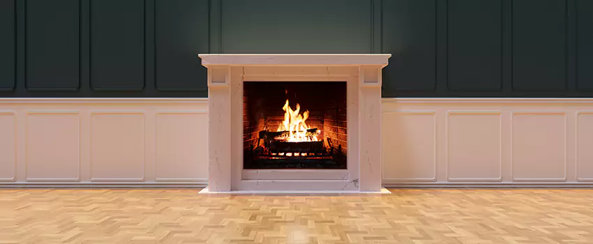 Napoleon Electric Fireplaces Inspection Service in Bloomingdale, Florida