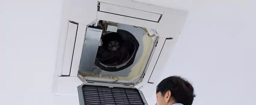 Benefits of Professional Air Duct Cleaning in Bloomingdale, Florida