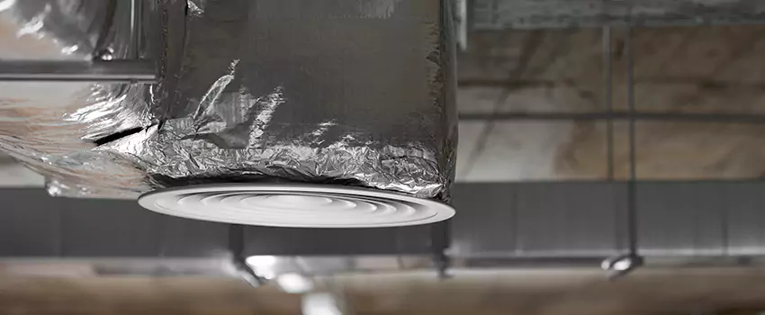 Signs of Dust Accumulation in Vents in Bloomingdale, FL