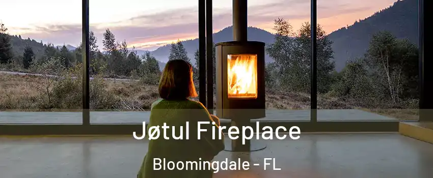  Jøtul Fireplace Bloomingdale - FL
