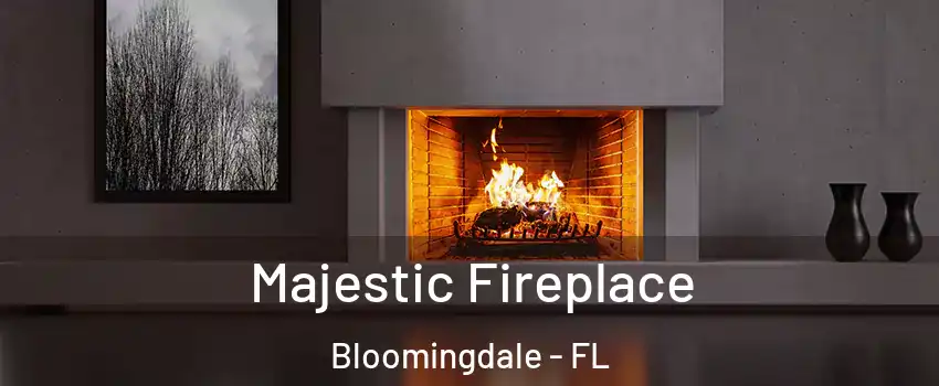  Majestic Fireplace Bloomingdale - FL