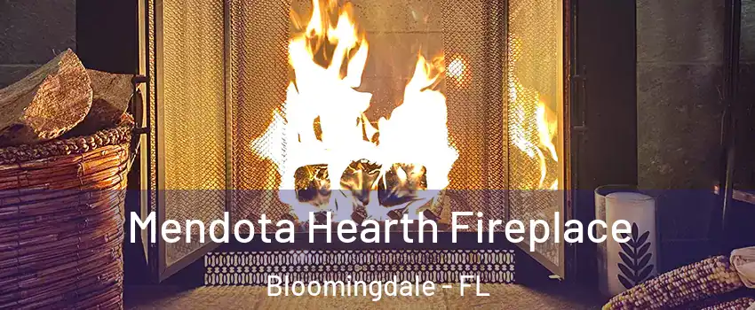  Mendota Hearth Fireplace Bloomingdale - FL