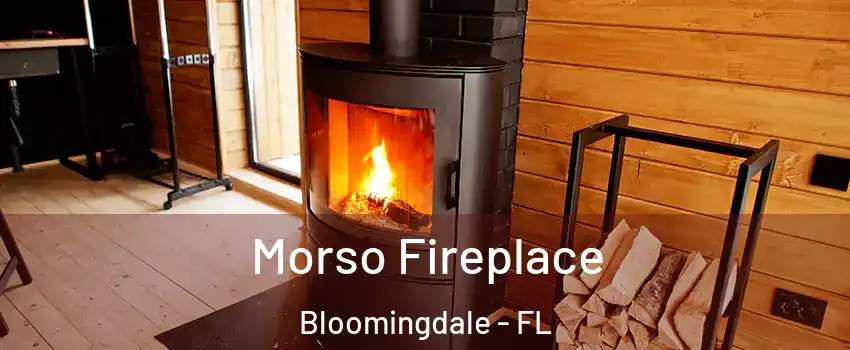  Morso Fireplace Bloomingdale - FL