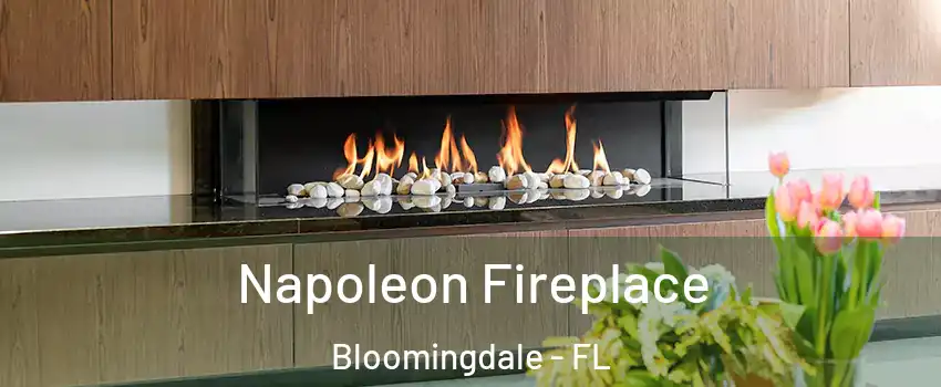  Napoleon Fireplace Bloomingdale - FL