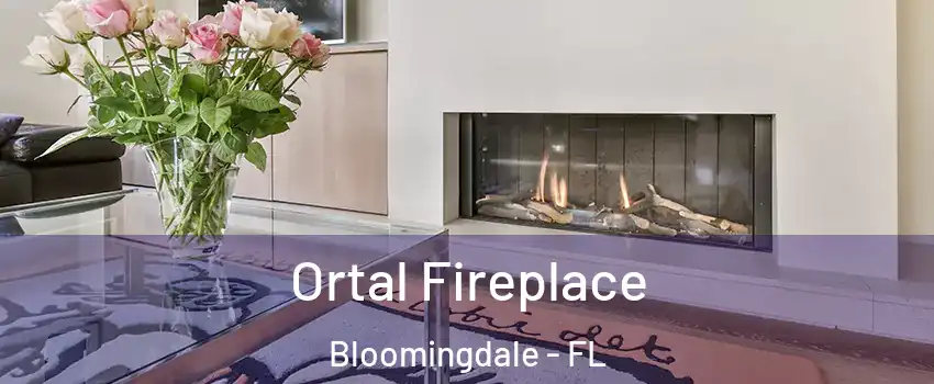  Ortal Fireplace Bloomingdale - FL
