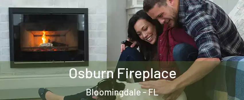  Osburn Fireplace Bloomingdale - FL