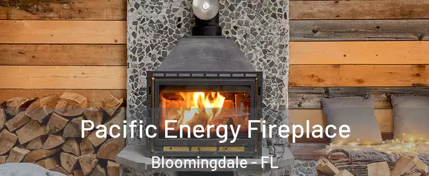  Pacific Energy Fireplace Bloomingdale - FL