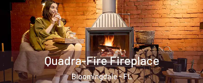  Quadra-Fire Fireplace Bloomingdale - FL