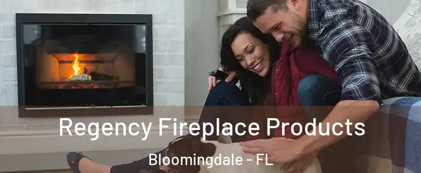 Regency Fireplace Products Bloomingdale - FL