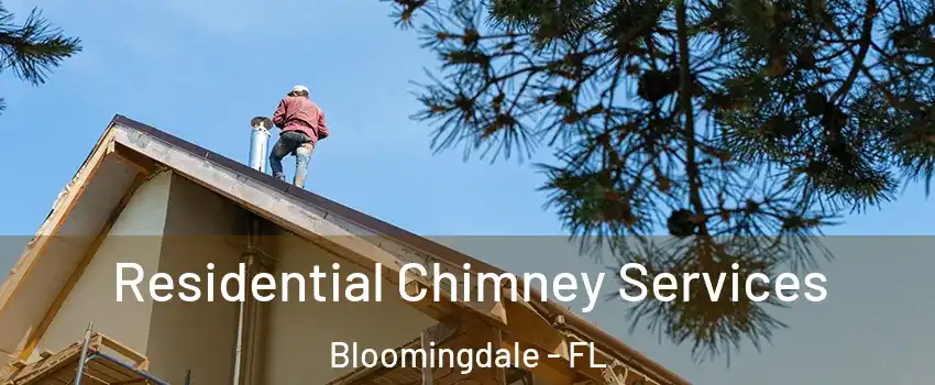  Residential Chimney Services Bloomingdale - FL
