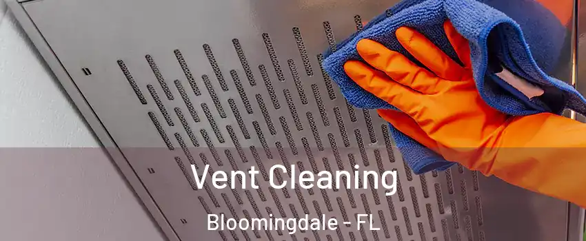  Vent Cleaning Bloomingdale - FL