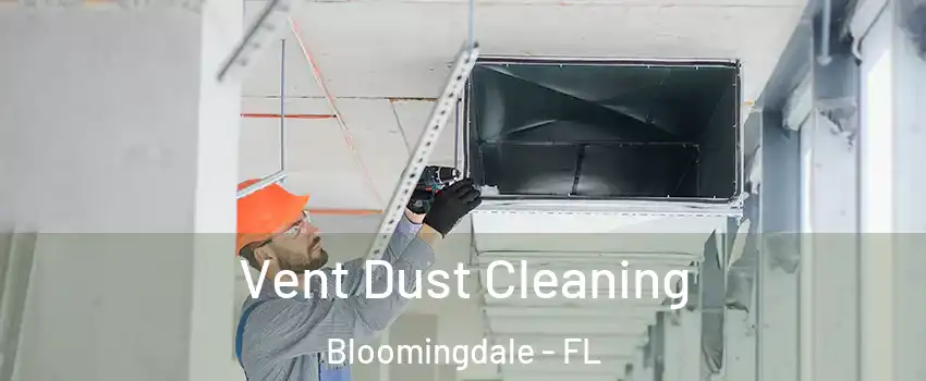 Vent Dust Cleaning Bloomingdale - FL