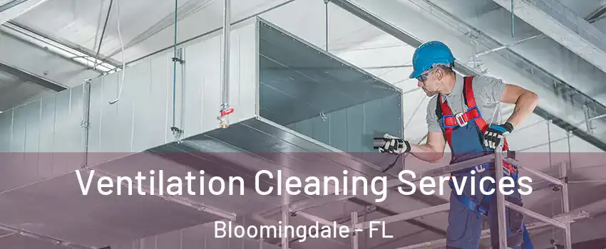  Ventilation Cleaning Services Bloomingdale - FL