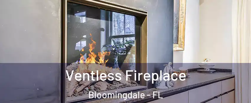  Ventless Fireplace Bloomingdale - FL