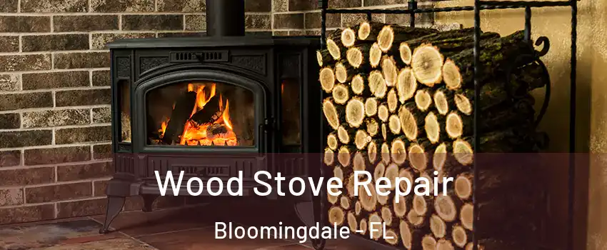  Wood Stove Repair Bloomingdale - FL